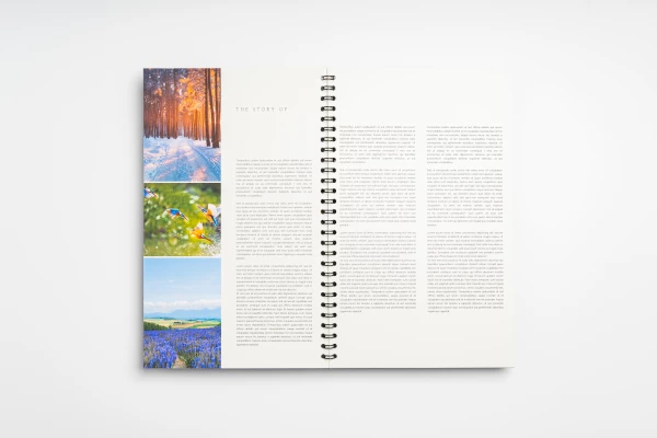 Printenbind Print and bind readers online: quick delivery | Print&Bind