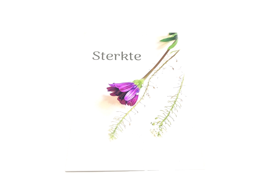Sterkte Kaart Online Printen Snel En Makkelijk Printenbind Nl